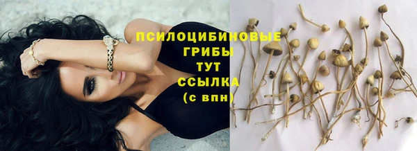 стаф Балабаново